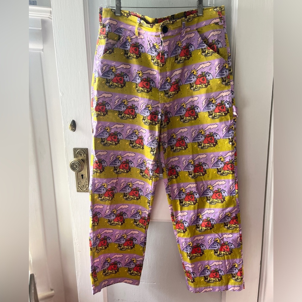 Nooworks Jammin Painter Pants XL